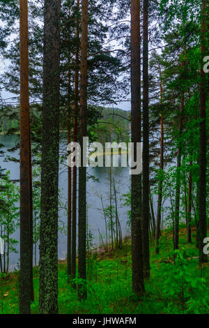 Paysage de lacs et de forêt le long de la crête de Punkaharju. Côte de la région de Lakeland, Savonia, Finlande Banque D'Images