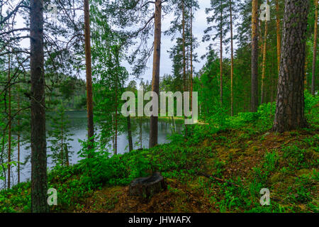 Paysage de lacs et de forêt le long de la crête de Punkaharju. Côte de la région de Lakeland, Savonia, Finlande Banque D'Images