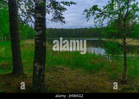 Paysage de lacs et de forêt le long de la crête de Punkaharju. Côte de la région de Lakeland, Savonia, Finlande Banque D'Images