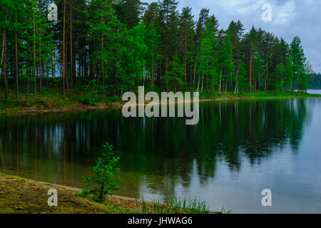 Paysage de lacs et de forêt le long de la crête de Punkaharju. Côte de la région de Lakeland, Savonia, Finlande Banque D'Images