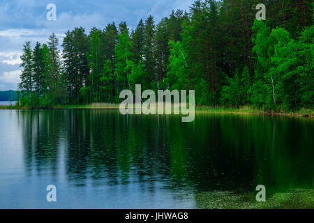 Paysage de lacs et de forêt le long de la crête de Punkaharju. Côte de la région de Lakeland, Savonia, Finlande Banque D'Images