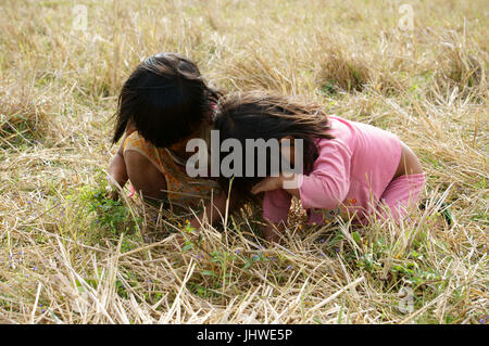 Le VIET NAM, BUON ME THUOT, deux enfants asiatiques avec joli visage à la fille sur l'herbe sèche végétale pré, enfant pauvre dans le desert campagne, Vietnam Banque D'Images