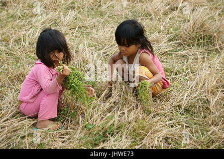 Le VIET NAM, BUON ME THUOT, deux enfants asiatiques avec joli visage à la fille sur l'herbe sèche végétale pré, enfant pauvre dans le desert campagne, Vietnam Banque D'Images