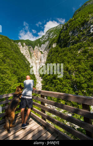 L'homme et le chien à la recherche à cascade Boka en Slovénie à partir de la terrasse en bois. Banque D'Images