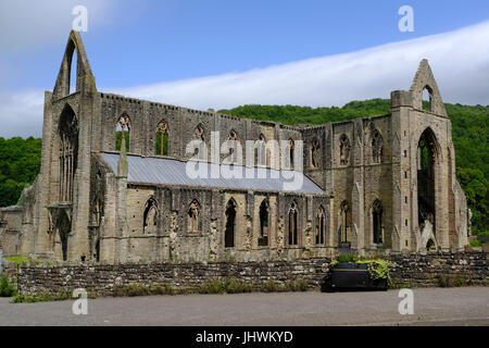 Pf ruines Abbaye de Tintern, Pays de Galles, Royaume-Uni Banque D'Images