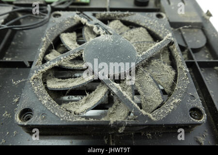 Les pales du ventilateur poussiéreux de refroidisseur du processeur de l'ordinateur. Close-up Banque D'Images