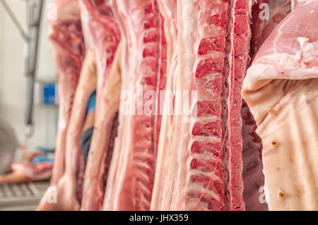 La viande fraîche de porcs dans une usine de coupe à froid Banque D'Images