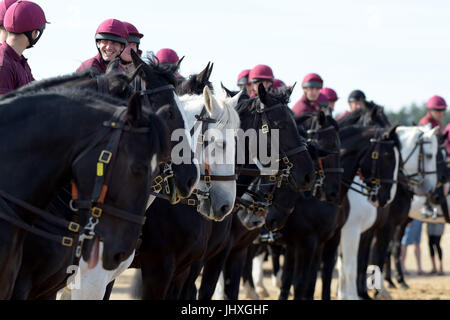 Holkham Beach, Norfolk, Royaume-Uni. 17 juillet, 2017. La Household Cavalry régiment monté prendre part à l'entraînement et de détente sur la plage de Holkham Norfolk, Angleterre dans le cadre de leur camp d'été annuel où chevaux et cavaliers obtenir loin de cérémonies à Londres. Après la prise de parc dans la parade la couleur et le Queens parade anniversaire le mercredi 12 juillet, le régiment monté s pour sa parade finale de la saison, à l'escorte de Sa Majesté la reine avec le roi Philippe et la Reine Letizia d'Espagne. Crédit : MARTIN DALTON/Alamy Live News Banque D'Images