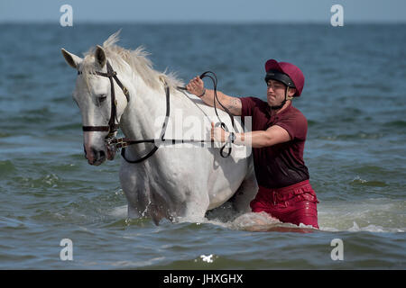 Holkham Beach, Norfolk, Royaume-Uni. 17 juillet, 2017. La Household Cavalry régiment monté prendre part à l'entraînement et de détente sur la plage de Holkham Norfolk, Angleterre dans le cadre de leur camp d'été annuel où chevaux et cavaliers obtenir loin de cérémonies à Londres. Après la prise de parc dans la parade la couleur et le Queens parade anniversaire le mercredi 12 juillet, le régiment monté s pour sa parade finale de la saison, à l'escorte de Sa Majesté la reine avec le roi Philippe et la Reine Letizia d'Espagne. Crédit : MARTIN DALTON/Alamy Live News Banque D'Images