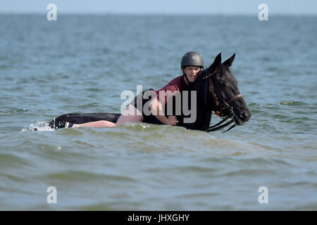 Holkham Beach, Norfolk, Royaume-Uni. 17 juillet, 2017. La Household Cavalry régiment monté prendre part à l'entraînement et de détente sur la plage de Holkham Norfolk, Angleterre dans le cadre de leur camp d'été annuel où chevaux et cavaliers obtenir loin de cérémonies à Londres. Après la prise de parc dans la parade la couleur et le Queens parade anniversaire le mercredi 12 juillet, le régiment monté s pour sa parade finale de la saison, à l'escorte de Sa Majesté la reine avec le roi Philippe et la Reine Letizia d'Espagne. Crédit : MARTIN DALTON/Alamy Live News Banque D'Images