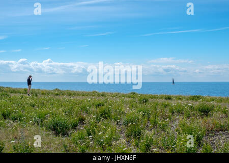 Les champs de Neptune - une réserve naturelle sur l'île de la mer Baltique d'Öland. Banque D'Images