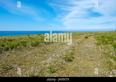 Les champs de Neptune - une réserve naturelle sur l'île de la mer Baltique d'Öland. Banque D'Images