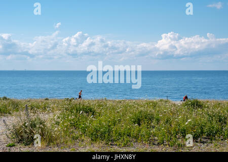 L'homme de courir les champs de Neptune - une réserve naturelle sur l'île de la mer Baltique d'Öland. Banque D'Images