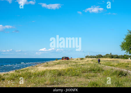 Les champs de Neptune - une réserve naturelle sur l'île de la mer Baltique d'Öland. Banque D'Images