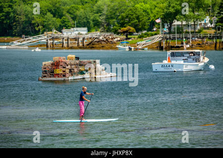 Une femme paddleboards sur Pemaquid Bay à Bristol, Maine, USA. Banque D'Images