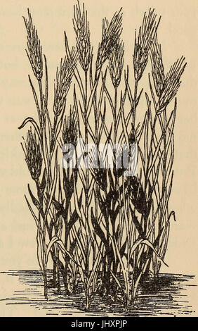 "Avec les enfants le dimanche, par le biais de portail, et l'oreille-gate dans la ville d'âme' (1911) Banque D'Images