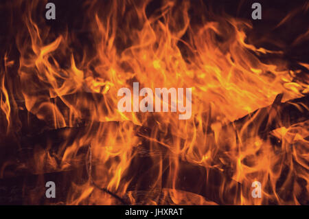 Brûler du bois dans un feu la nuit. Des flammes dans la nuit. Banque D'Images