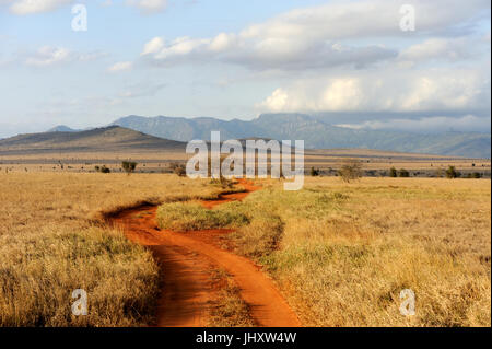 Paysage de savane dans le parc national du Kenya, Afrique Banque D'Images