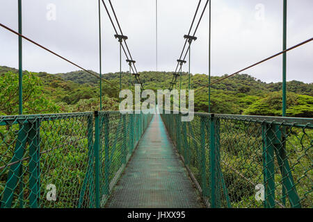 Pont suspendu de l'rainforest Banque D'Images