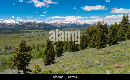 Oublier sur le Scenic Byway, l'Idaho de scie Banque D'Images