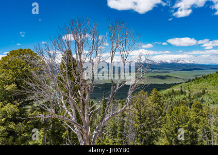 Oublier sur le Scenic Byway, l'Idaho de scie Banque D'Images