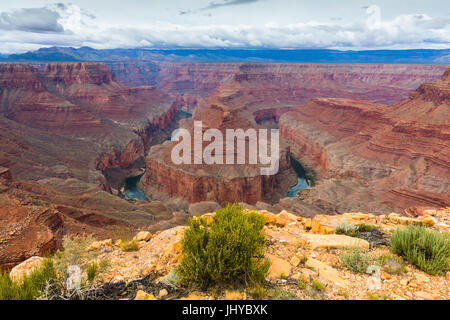 Tatahatso Point, avec vue sur le fleuve Colorado, le nord de l'Arizona, USA Banque D'Images