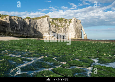 Porte d'Aval, avec la marée basse et des algues sur la plage, Etretat, Normandie, France, Europe Banque D'Images