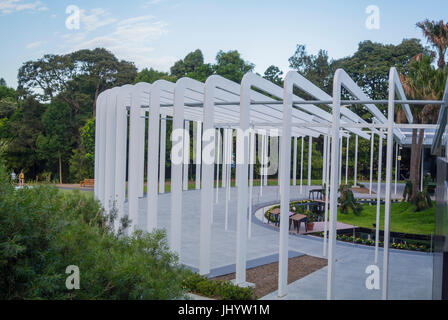 Le jardin botanique de Sydney Australie Calice Banque D'Images