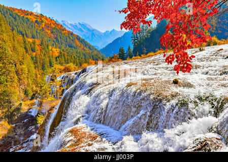 L'automne vue sur la cascade d'eau pure. La réserve naturelle de Jiuzhaigou, Jiuzhai Valley National Park, Chine Banque D'Images