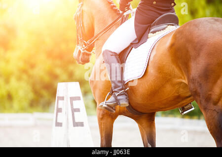 Close up image de cheval avec cavalier de dressage concours de sports équestres. Détails de l'équipement équestre Banque D'Images