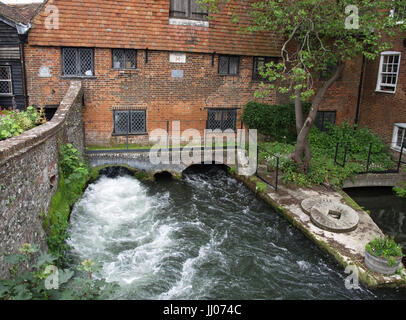 Itchen River running through Winchester, Hampshire, England, UK Banque D'Images