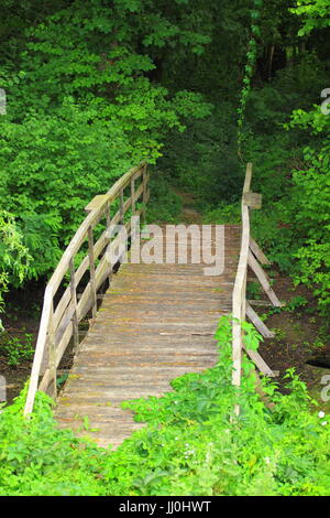 Vieux pont en bois en forêt Banque D'Images