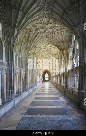 La cathédrale de Gloucester (St Peter's Abbey), Gloucester, Gloucestershire, cloître, à l'Ouest à pied vers le Nord Banque D'Images