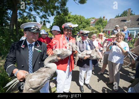 Royal Queens Swan Marker David Barber (centre) près de Staines-upon-Thames, Surrey au cours de l'ancienne tradition de compter les cygnes le long de la Tamise commence. Banque D'Images