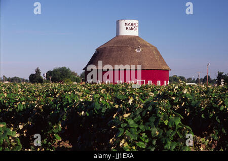 En Ranch grange ronde en dehors de Grandview, Yakima County, Washington Banque D'Images