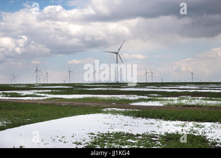 Éoliennes dans la campagne, à l'Est de la Roumanie Banque D'Images