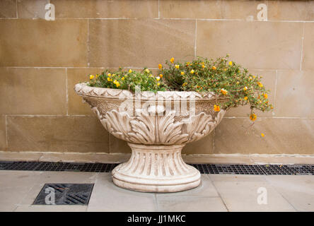 Vase de gypse dans le vieux mobilier de style dans la rue avec les fleurs jaunes Banque D'Images