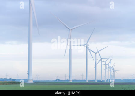 Rangée d'éoliennes dans le tôt le matin à une télévision paysage hollandais Banque D'Images