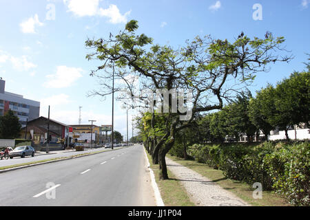 Centre, Ville, Joinvile, Santa Catarina, Brésil Banque D'Images