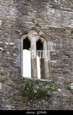 Le Château de Fougères, comté de Wexford, Irlande, une forteresse anglo-normande, construite au milieu du 13ème siècle par William, comte Marshall. Aujourd'hui environ la moitié o Banque D'Images