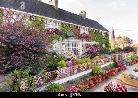 Une maison dans le comté de Wexford décorées dans beaucoup de fleurs, et les drapeaux et les couleurs de l'Wexford GAA TDAMR, violet et jaune. Banque D'Images