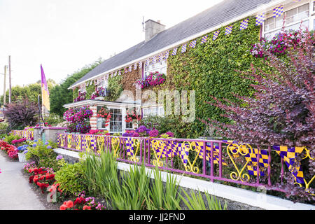 Une maison dans le comté de Wexford décorées dans beaucoup de fleurs, et les drapeaux et les couleurs de l'Wexford GAA TDAMR, violet et jaune. Banque D'Images