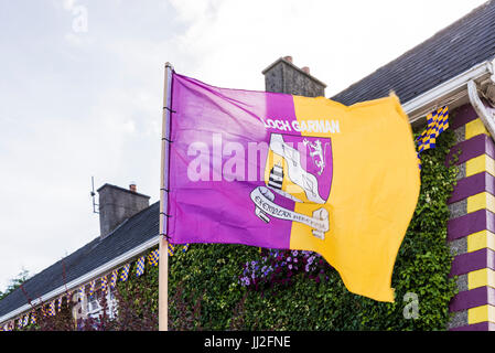 Une maison dans le comté de Wexford décorées dans beaucoup de fleurs, et les drapeaux et les couleurs de l'Wexford GAA TDAMR, violet et jaune. Banque D'Images