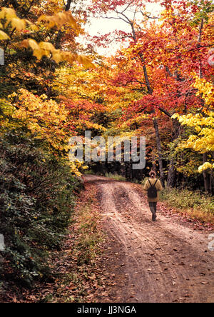 Female Hiker, scène d'automne, avec sac à dos femme marche le long de la route de campagne. Orange, rouge et jaune, les feuilles des arbres. Banque D'Images