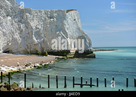 Falaises de craie à Seaford, East Sussex, connu sous le nom de point d'accueil Banque D'Images