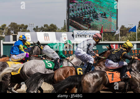 Les courses de chevaux l'action au Cal Expo de Sacramento, en Californie. Banque D'Images