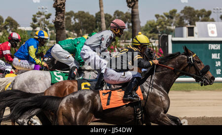 Les courses de chevaux l'action au Cal Expo de Sacramento, en Californie. Banque D'Images