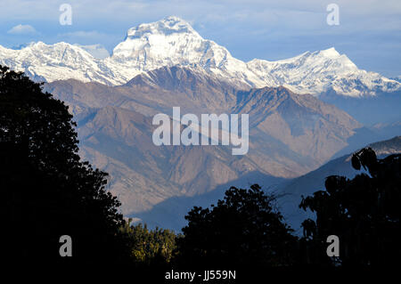 Dans le Massif de l'Annapurna au Népal du Centre-Nord. Destination trekking populaires Banque D'Images