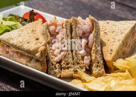 Sandwich à la crevette sur le pain brun Banque D'Images
