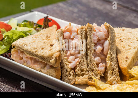 Sandwich à la crevette sur le pain brun Banque D'Images